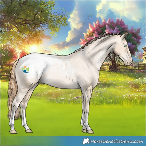 Horse Color:Smoky Black Pearl Snowcap Rabicano 