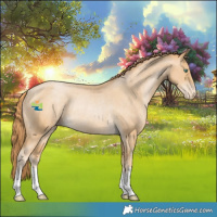Horse Color:Smoky Black Pearl Varnish Rabicano 