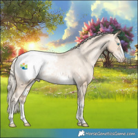 Horse Color:Palomino Pearl Appaloosa Rabicano 