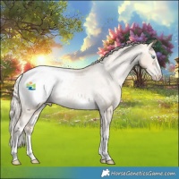 Horse Color:Palomino Pearl Snowcap Rabicano 