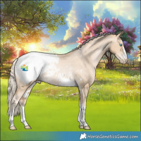 Horse Color:Palomino Pearl Appaloosa Rabicano
