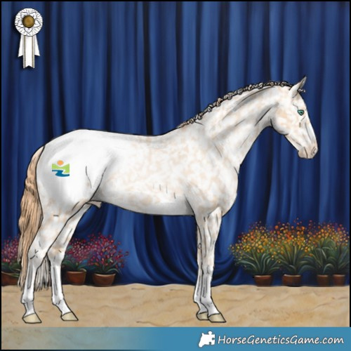 Horse Color:Smoky Black Pearl Appaloosa Rabicano 