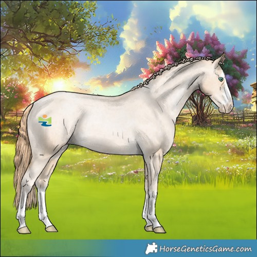 Horse Color:Smoky Black Pearl Appaloosa Rabicano 