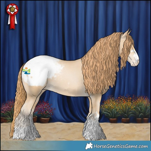 Horse Color:Smoky Black Pearl Appaloosa 