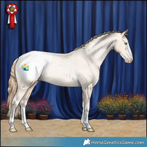 Horse Color:Smoky Black Pearl Appaloosa Rabicano 