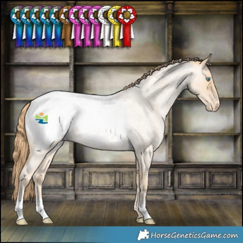 Horse Color:Buckskin Roan Pearl Snowcap Rabicano 