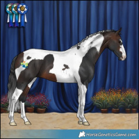 Horse Color:Brown Tobiano