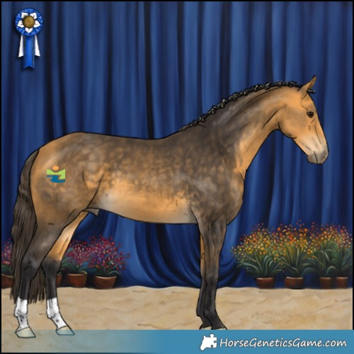 Horse Color:Buckskin 