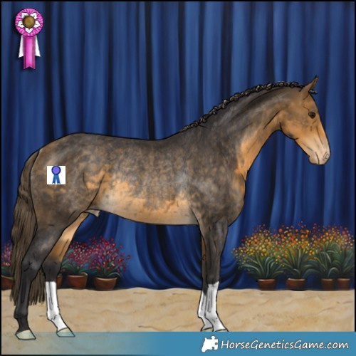 Horse Color:Buckskin Appaloosa Rabicano 