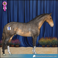 Horse Color:Buckskin Appaloosa Rabicano 