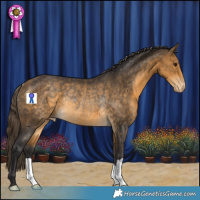 Horse Color:Buckskin Appaloosa Rabicano 