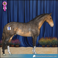 Horse Color:Buckskin Appaloosa Rabicano 