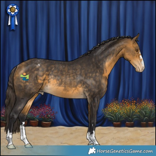 Horse Color:Buckskin Appaloosa Rabicano 