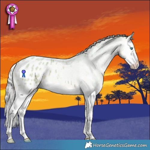 Horse Color:Watercolor Silver Buckskin Roan Splash Appaloosa 