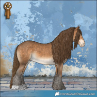 Horse Color:Gray Perlino 