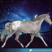 Horse Color:Silver Black Tobiano Appaloosa 