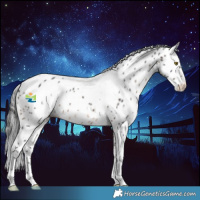 Horse Color:White Spotted Brown Tobiano Appaloosa 