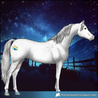 Horse Color:Gray White Spotted Buckskin Tobiano Appaloosa 