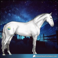 Horse Color:Gray White Spotted Buckskin Varnish 
