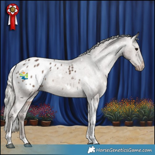 Horse Color:White Spotted Silver Black Tobiano Appaloosa 