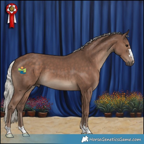 Horse Color:Silver Black 