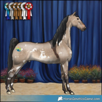 Horse Color:White Spotted Brown Dun 