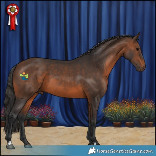 Horse Color:Brown 