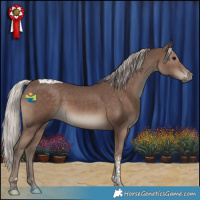 Horse Color:Silver Black Tobiano 