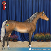 Horse Color:Silver Buckskin 