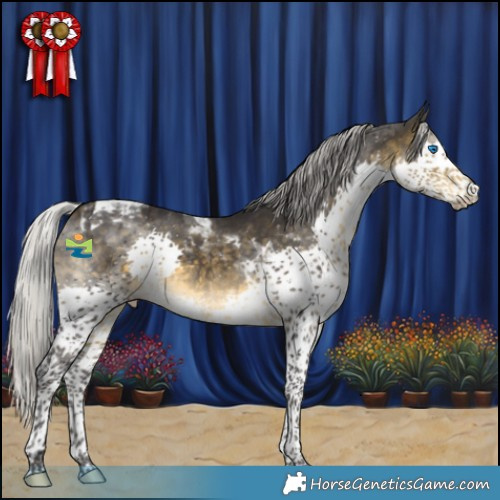 Horse Color:Silver Buckskin Splash Tobiano 