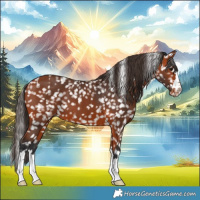 Horse Color:Bay Snowflake Varnish 