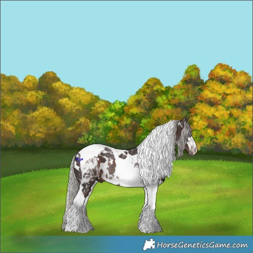 Horse Color:White Spotted Silver Brown Tobiano Rabicano 
