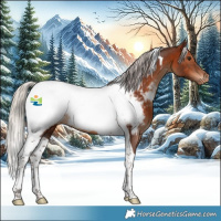 Horse Color:Silver Brown Tobiano Appaloosa