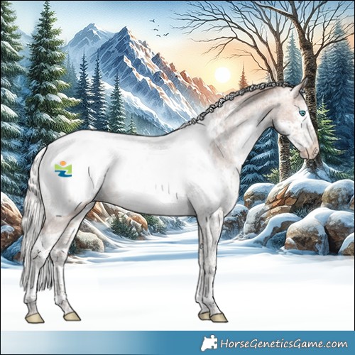 Horse Color:Silver Bay Splash Tobiano Appaloosa 