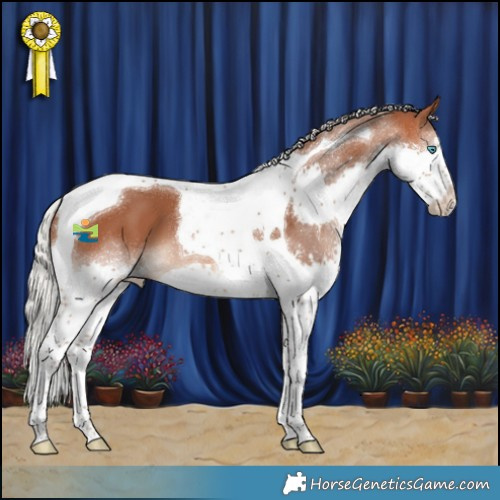 Horse Color:Silver Bay Splash Tobiano 