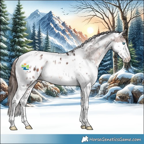 Horse Color:Brown Splash Tobiano Blanket Rabicano 