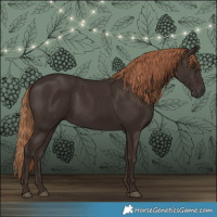 Horse Color:Liver Chestnut Rabicano 