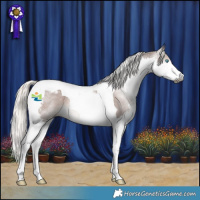 Horse Color:Gray Silver Black Splash Tobiano Varnish 