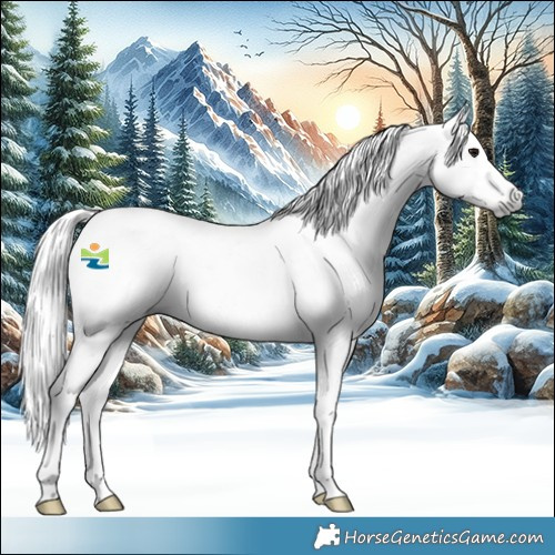 Horse Color:Gray Silver Smoky Black Tobiano Appaloosa 