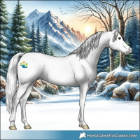 Horse Color:Gray Silver Smoky Black Tobiano Appaloosa 