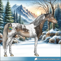 Horse Color:Gray Silver Smoky Black Tobiano Appaloosa