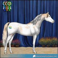 Horse Color:Chestnut Splash Tobiano Blanket 