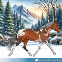 Horse Color:White Spotted Bay Tobiano