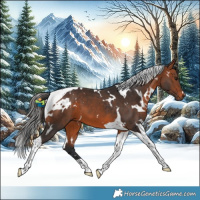 Horse Color:White Spotted Bay Tobiano 