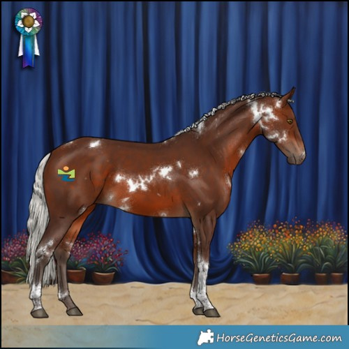 Horse Color:White Spotted Silver Brown Tobiano 
