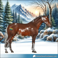 Horse Color:White Spotted Silver Brown Tobiano 