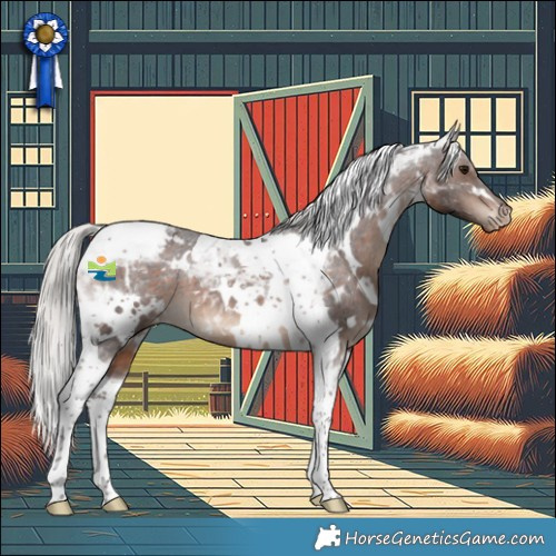 Horse Color:White Spotted Silver Brown Tobiano Appaloosa 