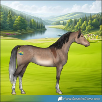 Horse Color:Brown Dun Tobiano