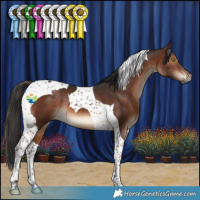 Horse Color:Brown Tobiano