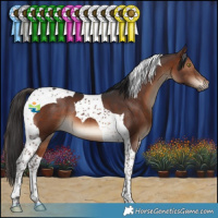 Horse Color:Brown Tobiano 